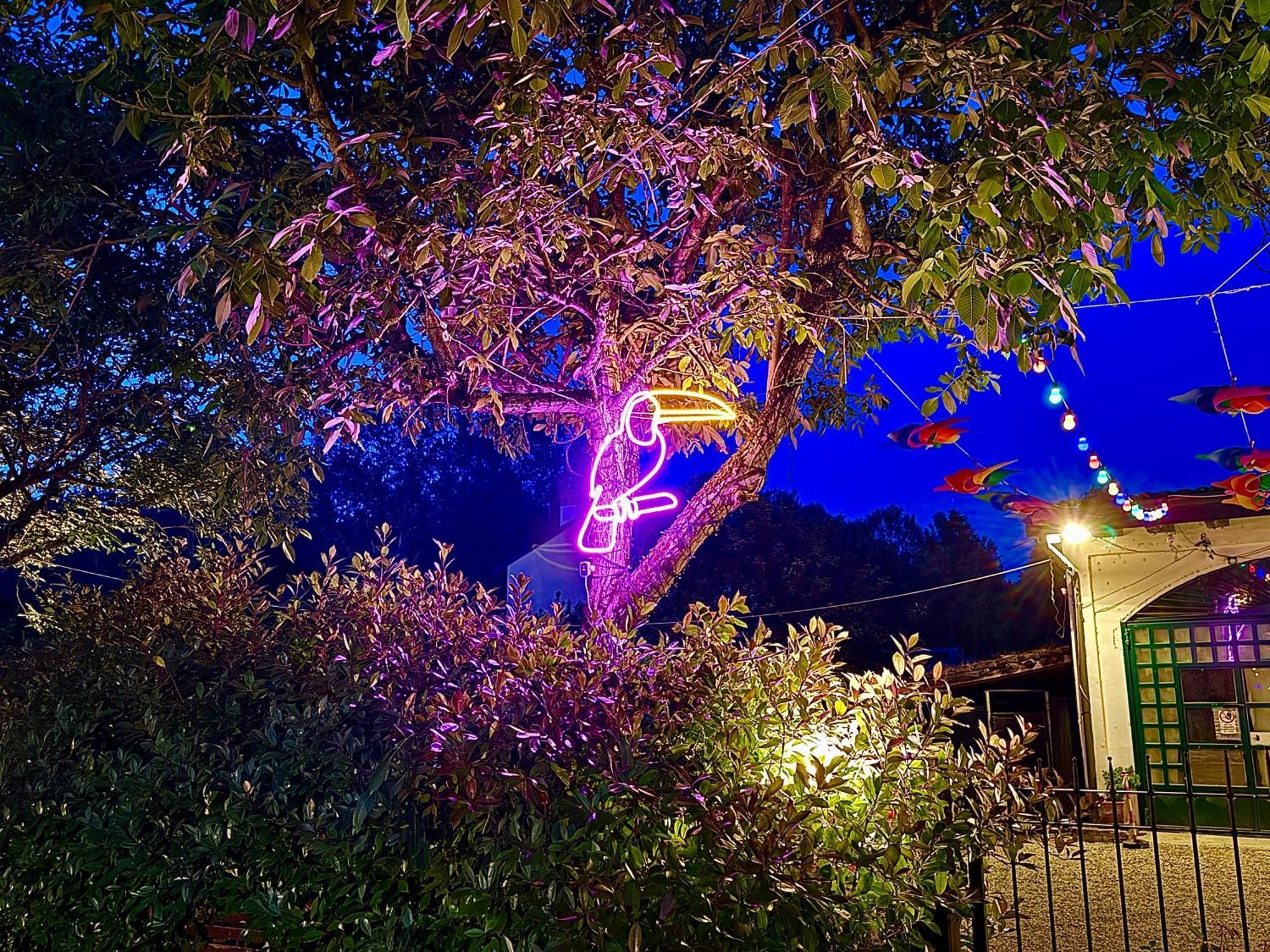 B&B La Borasca Casalpusterlengo Exteriér fotografie